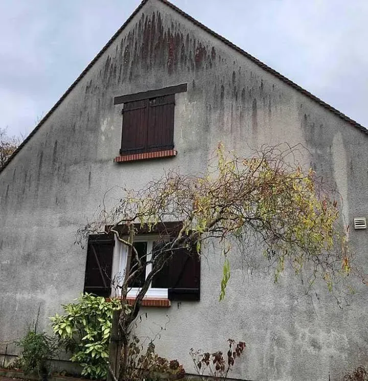 Nettoyage de façade près de 	Lorris